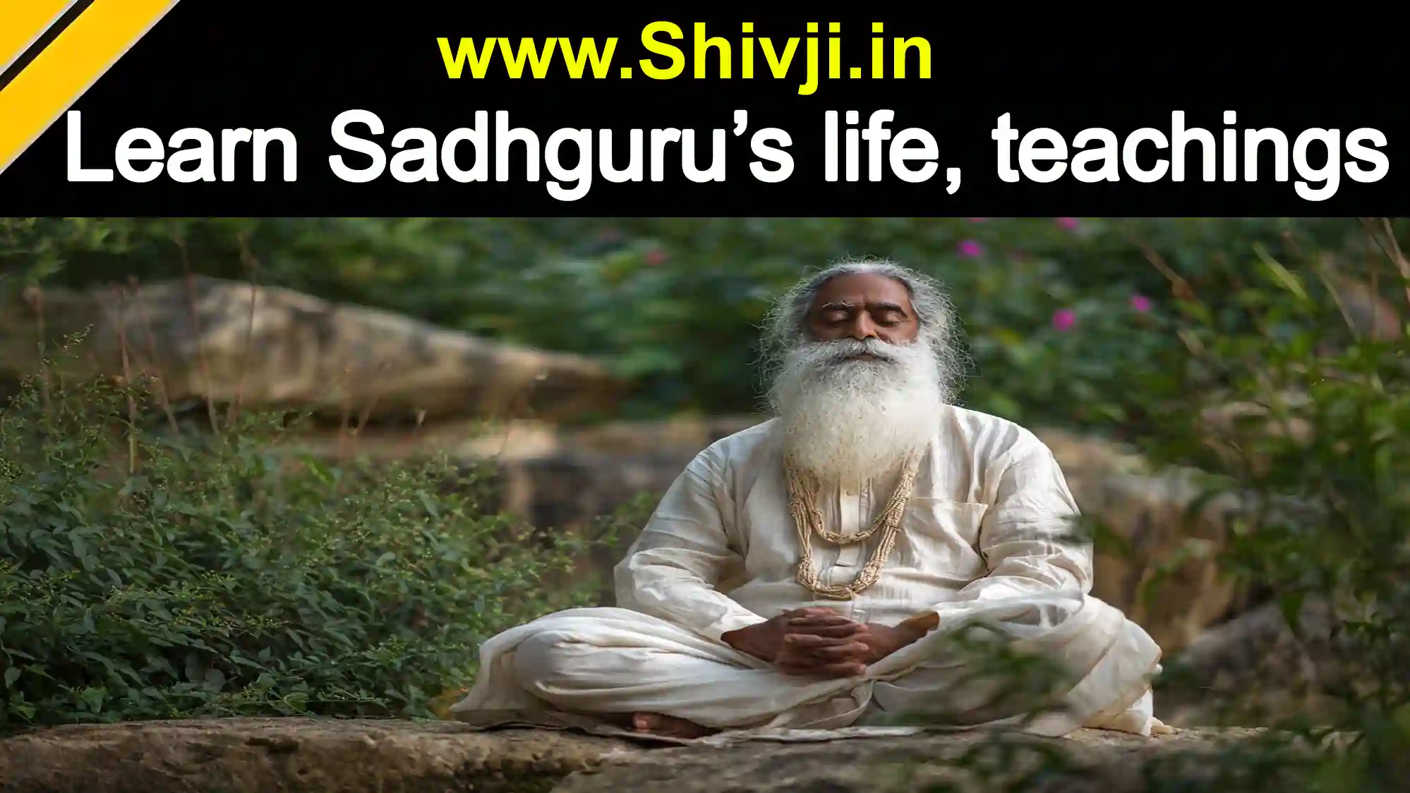 Sadhguru meditating in nature for spiritual wisdom and inner peace