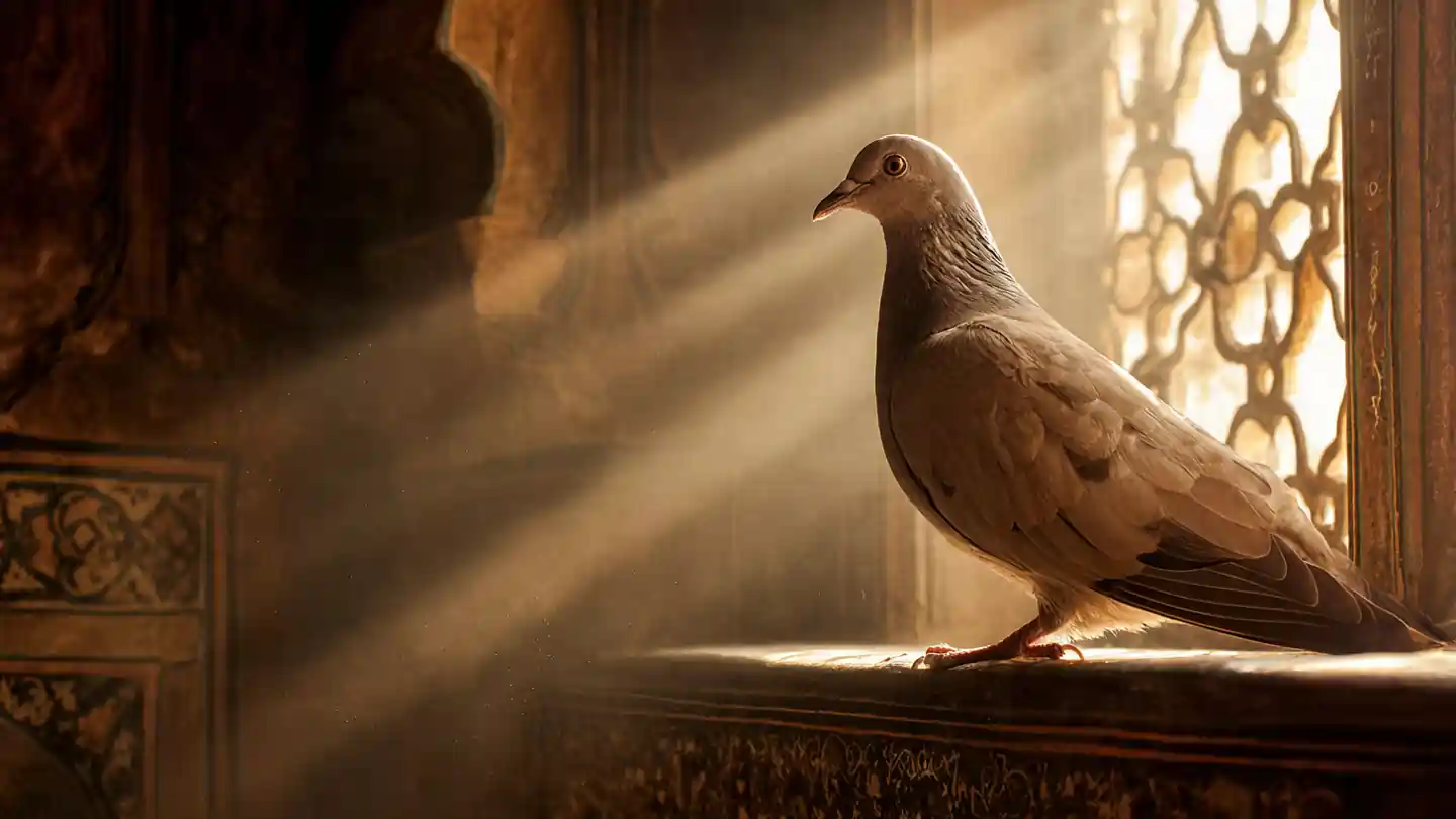 kabootar aane ke shubh ashubh sanket pigeon signs