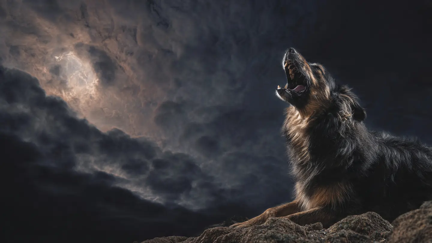 sapne me kutta katna spiritual meaning