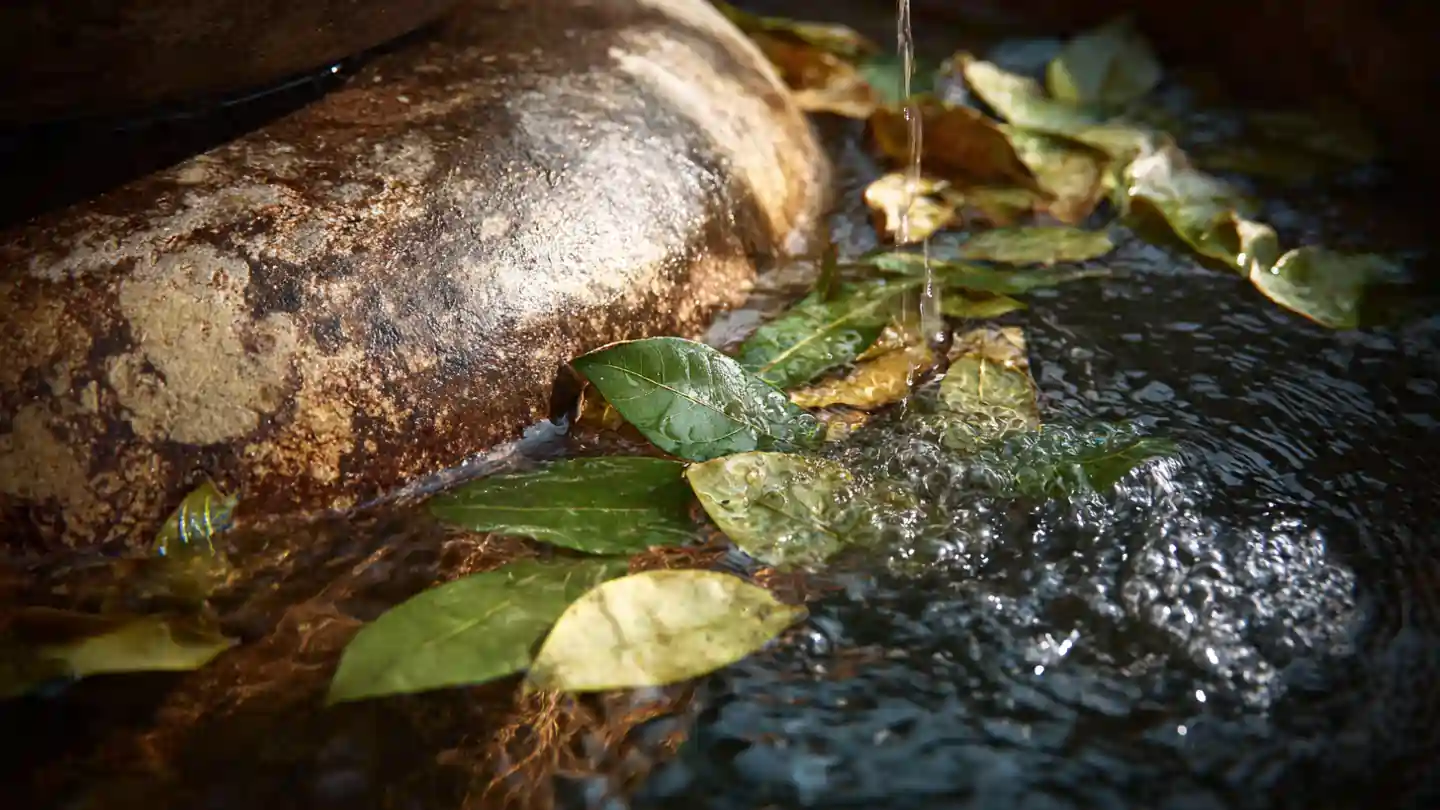 Shiva Blessings Tips with devotee offering water to Shivling